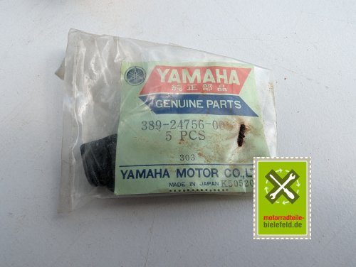 PXL_20240523_135735350